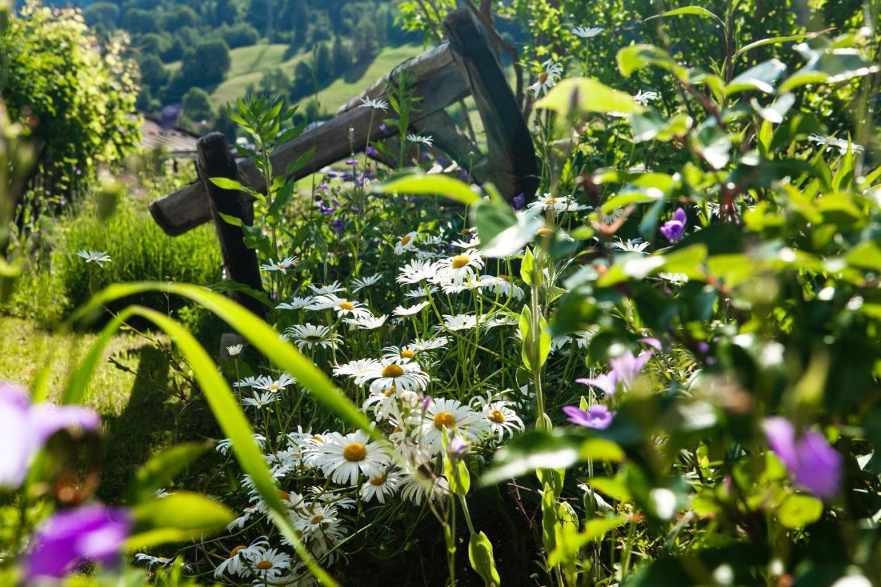 Willa Ferienhaus Kollinger Kaprun Zewnętrze zdjęcie